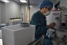 做深圳第三代试管婴儿要多久？操作流程如何？