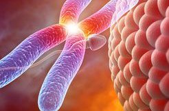 广州三代试管婴儿正规机构哪些好？